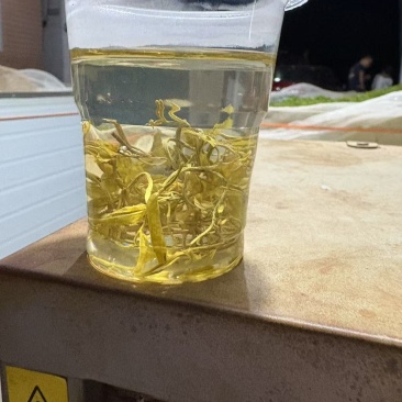 藤茶
