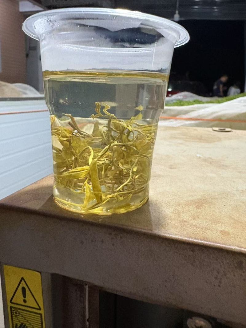 藤茶