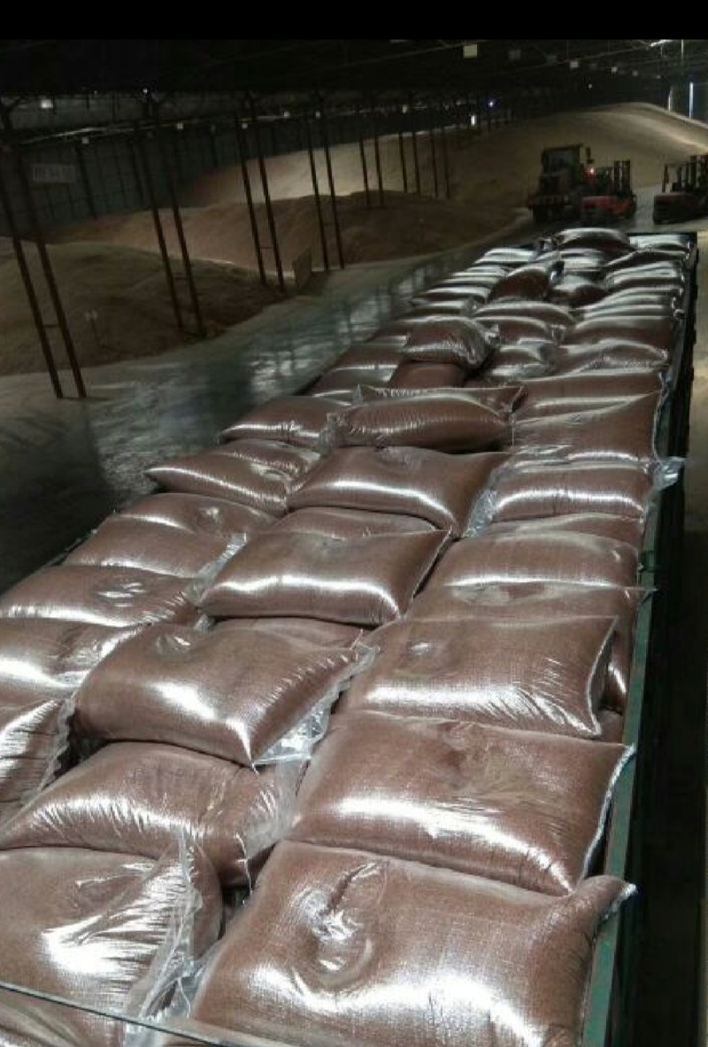 色选亚麻籽出油率40％1袋起售不包邮