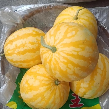 产地直发西瓜价格美丽
