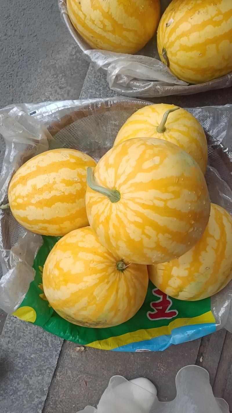 产地直发西瓜价格美丽