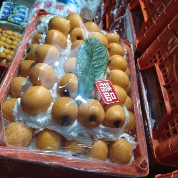 云南五星枇杷