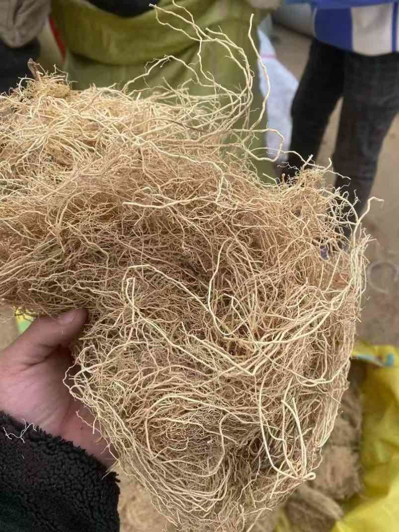 产地直供徐长卿，干货足效品质优，量大从优