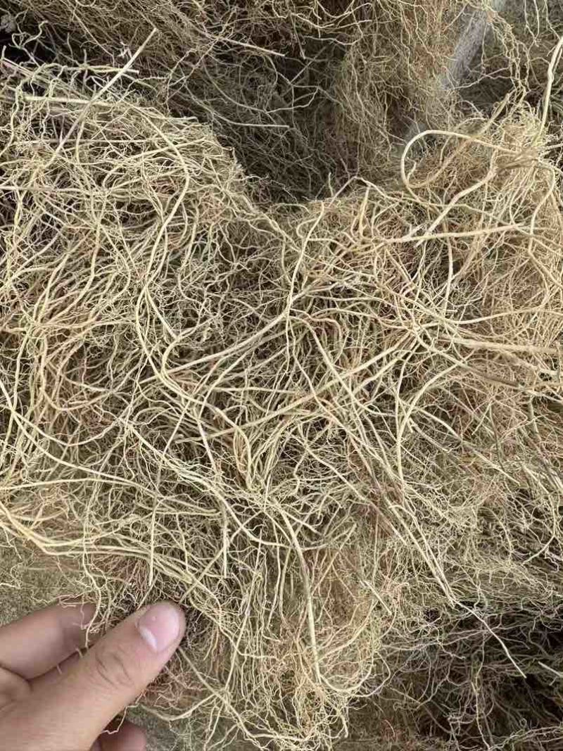 产地直供徐长卿，干货足效品质优，量大从优