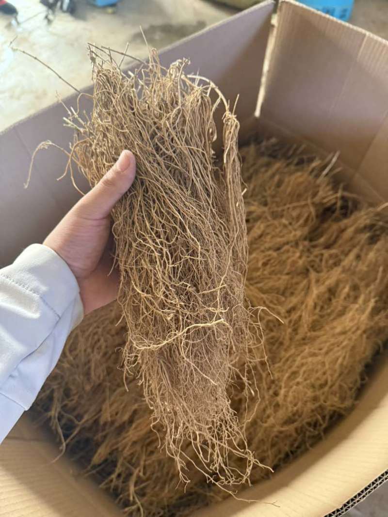 产地直供徐长卿，干货足效品质优，量大从优