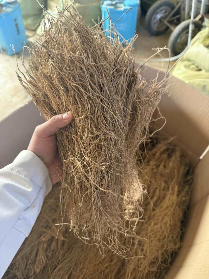产地直供徐长卿，干货足效品质优，量大从优