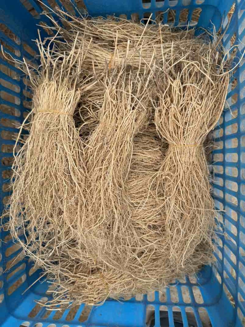 徐长卿齐根货，水洗无杂质。徐长卿中药材各种规格