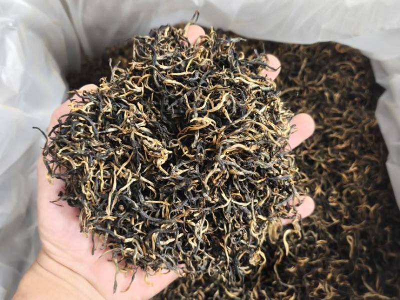 英红九号红茶