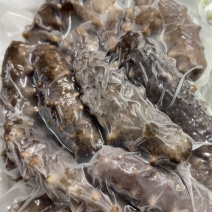 福建霞浦自产自销各种海参批发黄鱼鲞海带苗紫菜等