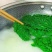 羽衣甘蓝玉麒麟皱叶菜