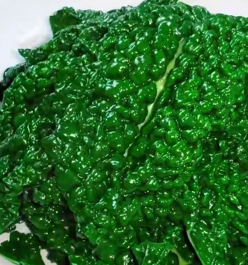 羽衣甘蓝玉麒麟皱叶菜