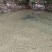 瘦身鱼