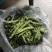 油豆大马掌
