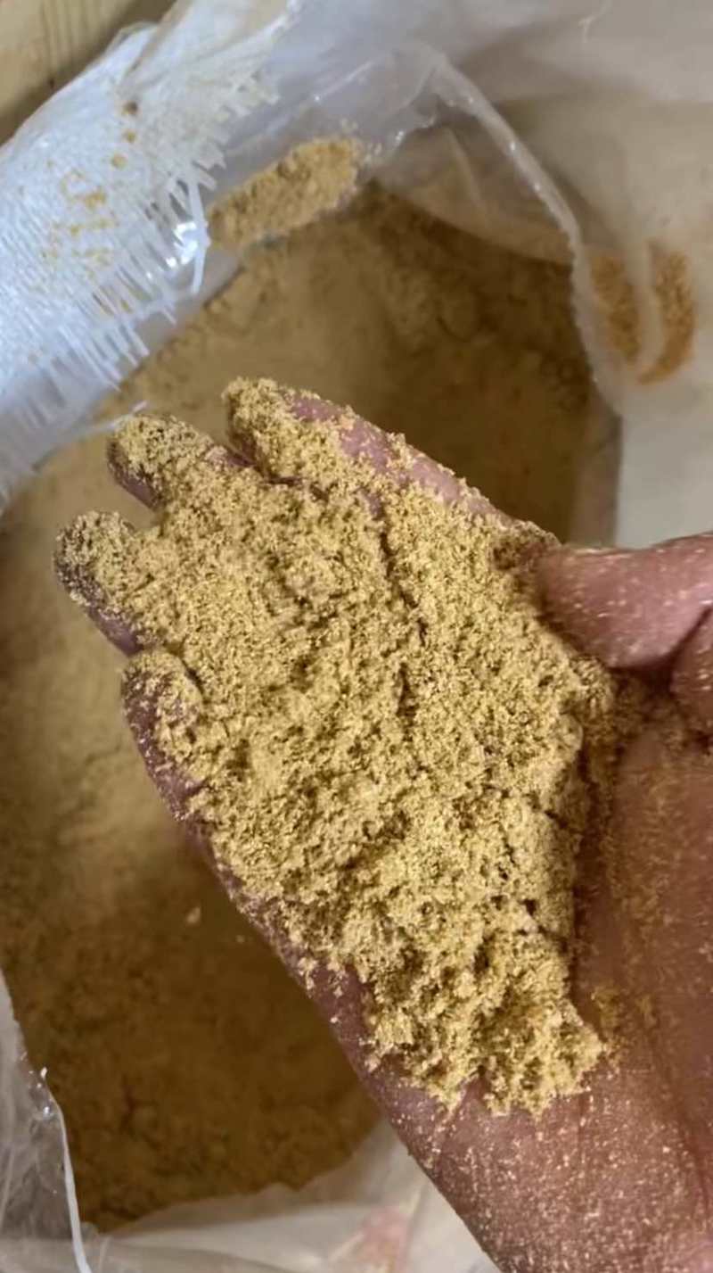 养殖熟玉米面，营养丰富，蛋白高代替玉米养殖使用！