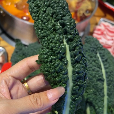 羽麒麟2号皱叶菜