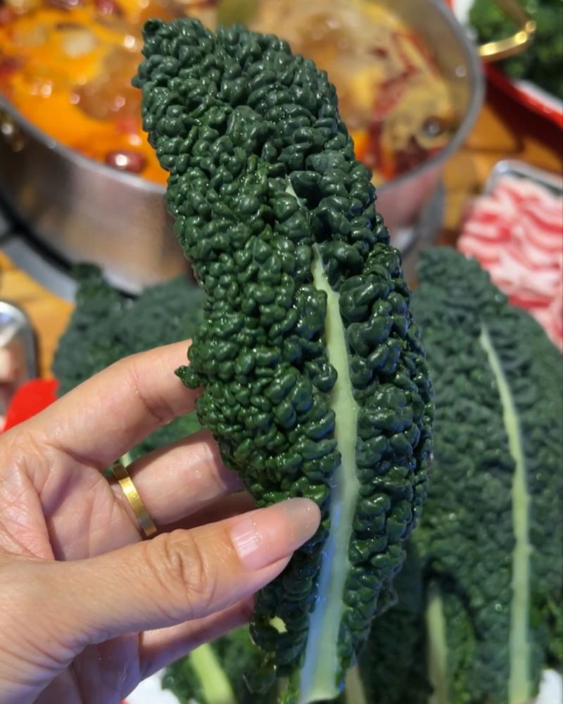 羽麒麟2号皱叶菜