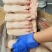 一级大肥猪带筋猪蹄19-24个2+000箱装新货