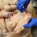 一级大肥猪带筋猪蹄19-24个2+000箱装新货