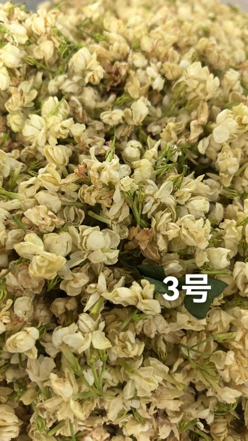 各种规格茉莉花干