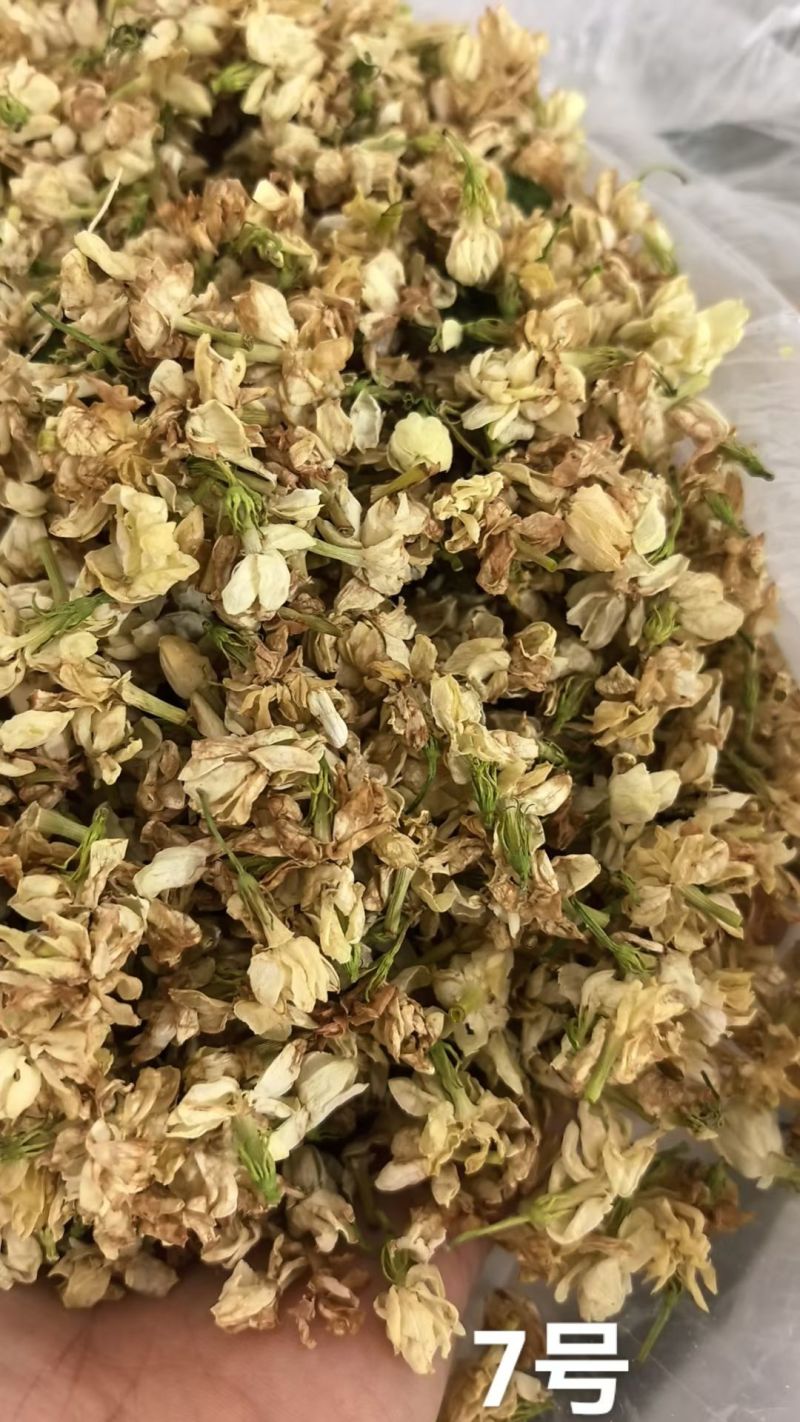 各种规格茉莉花干