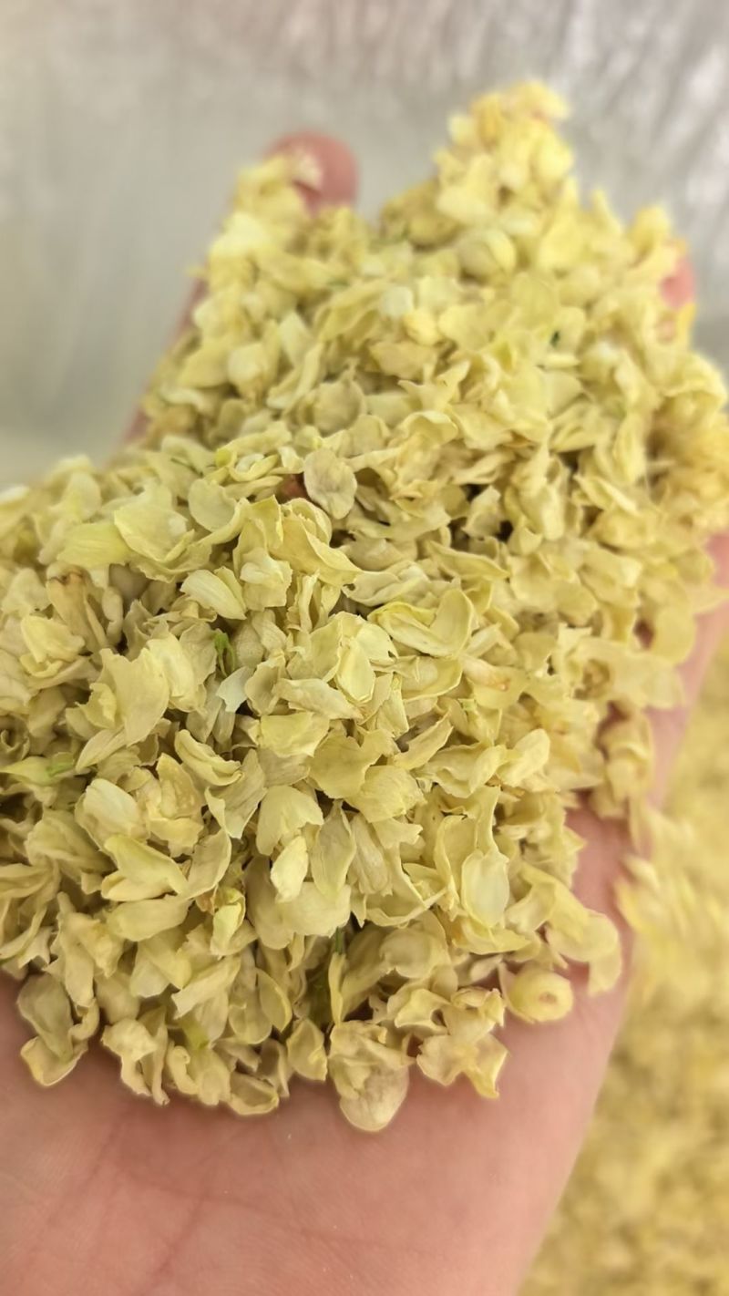 各种规格茉莉花干