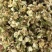 各种规格茉莉花干