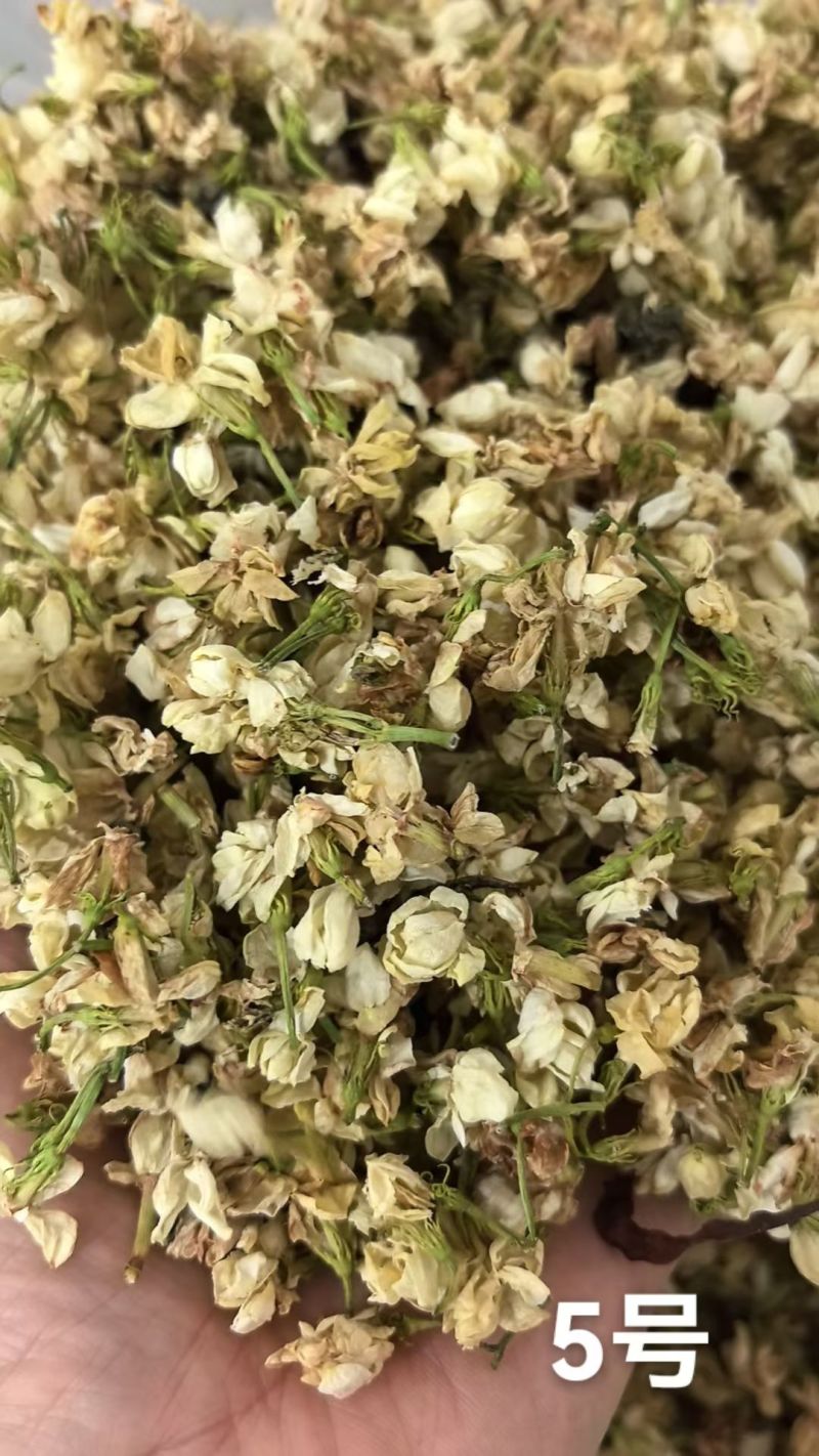 各种规格茉莉花干