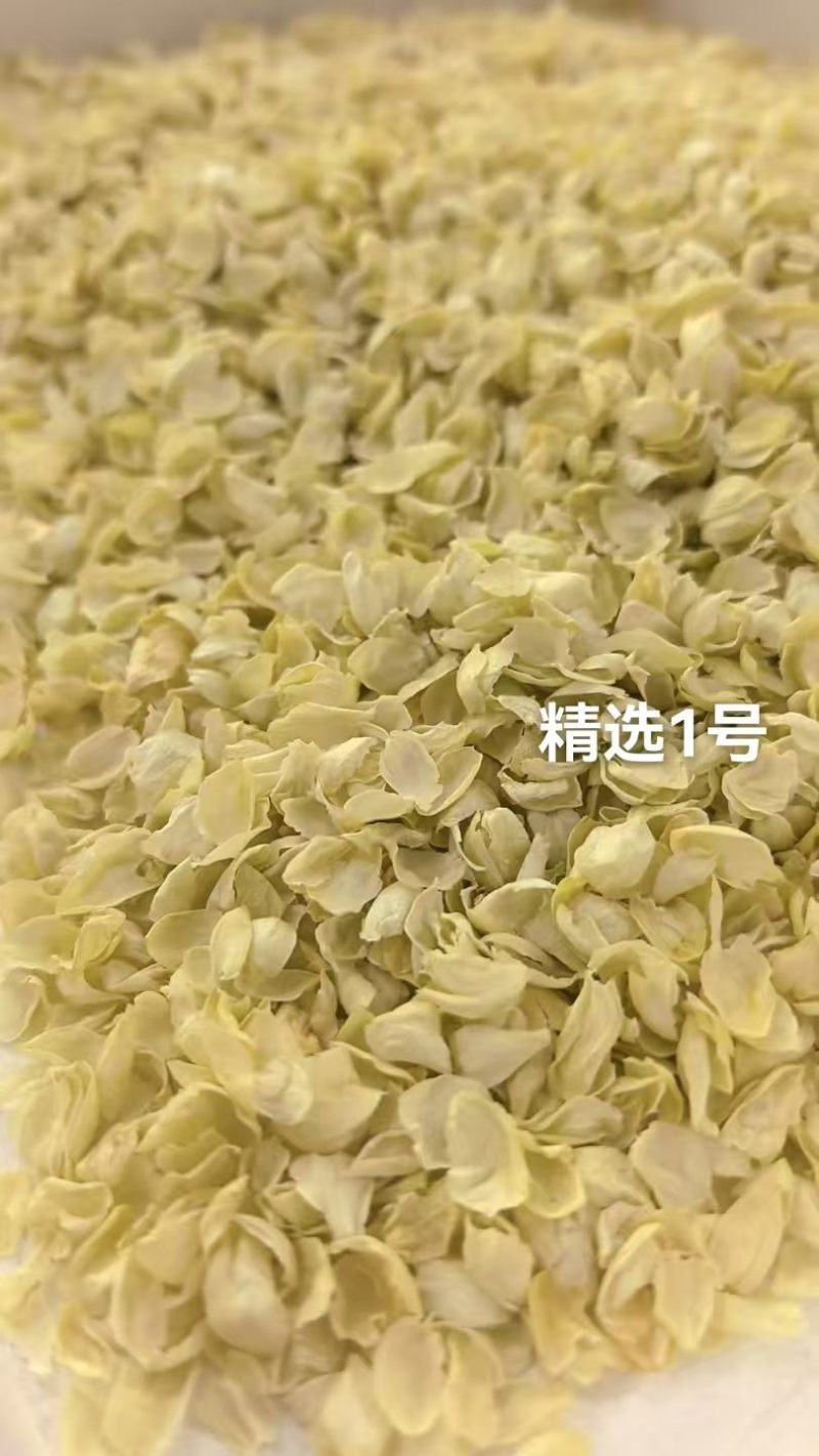 各种规格茉莉花干