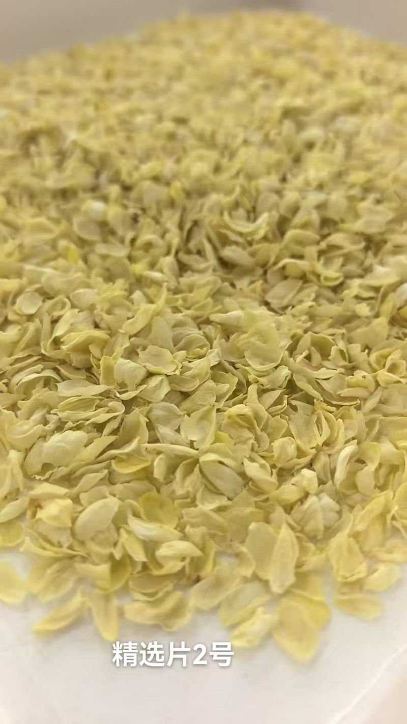 各种规格茉莉花干