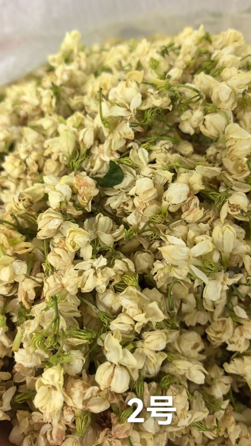 各种规格茉莉花干