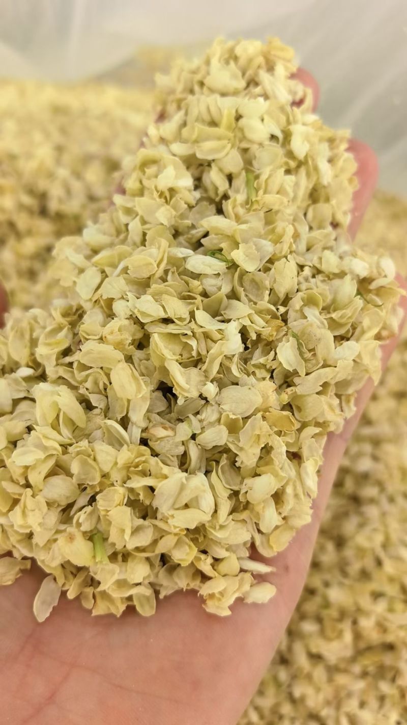 各种规格茉莉花干