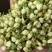 各种规格茉莉花干