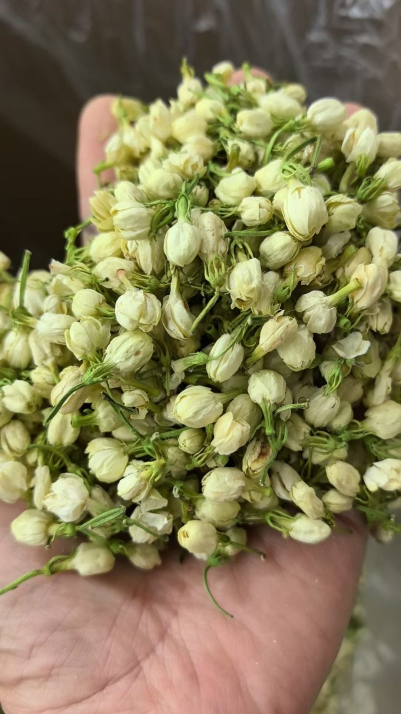 各种规格茉莉花干