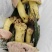 野生菌