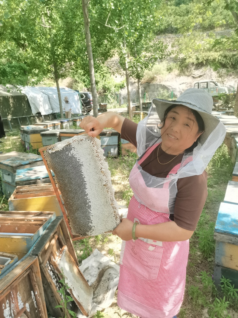 蜂蜜蜂王浆花粉