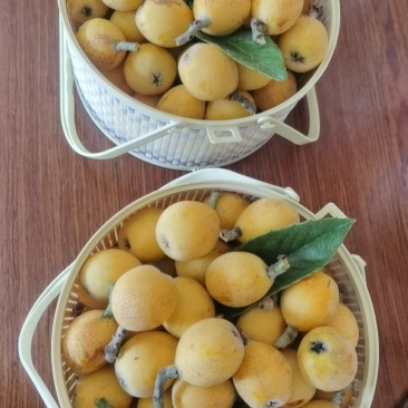 穆坞白沙枇杷