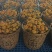 苏州东山白玉枇杷（5月29号结束）