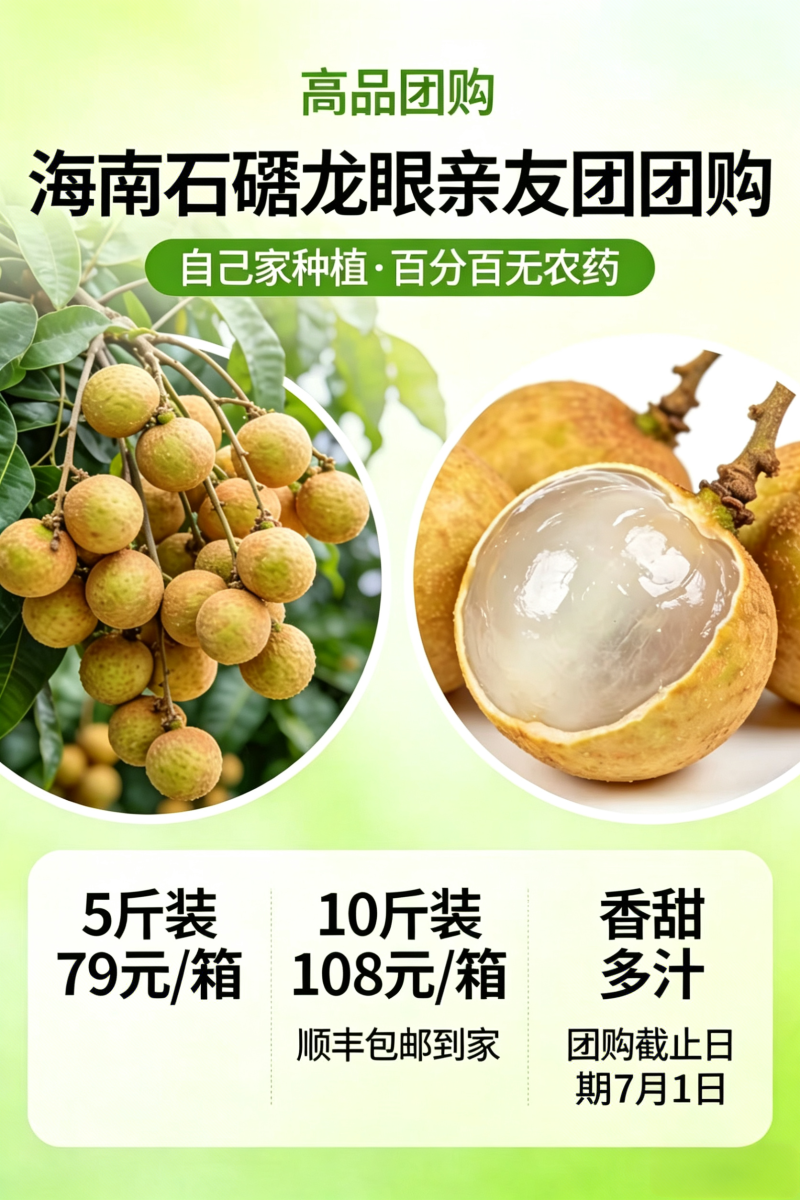 海南石峡龙眼