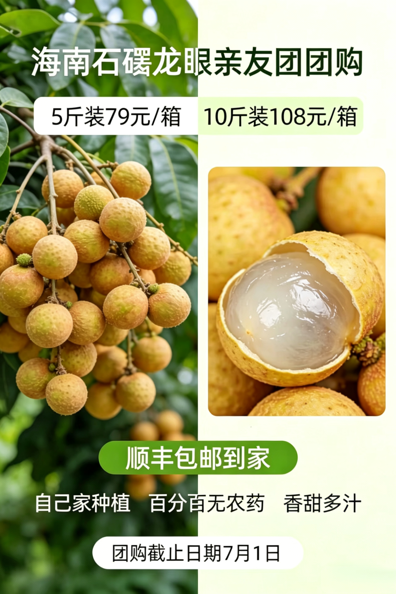 海南石峡龙眼