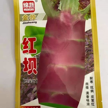 绵蔬金妆红坝莴笋种子红尖叶紫红皮肉绿清香莴苣种籽秋播耐寒高产