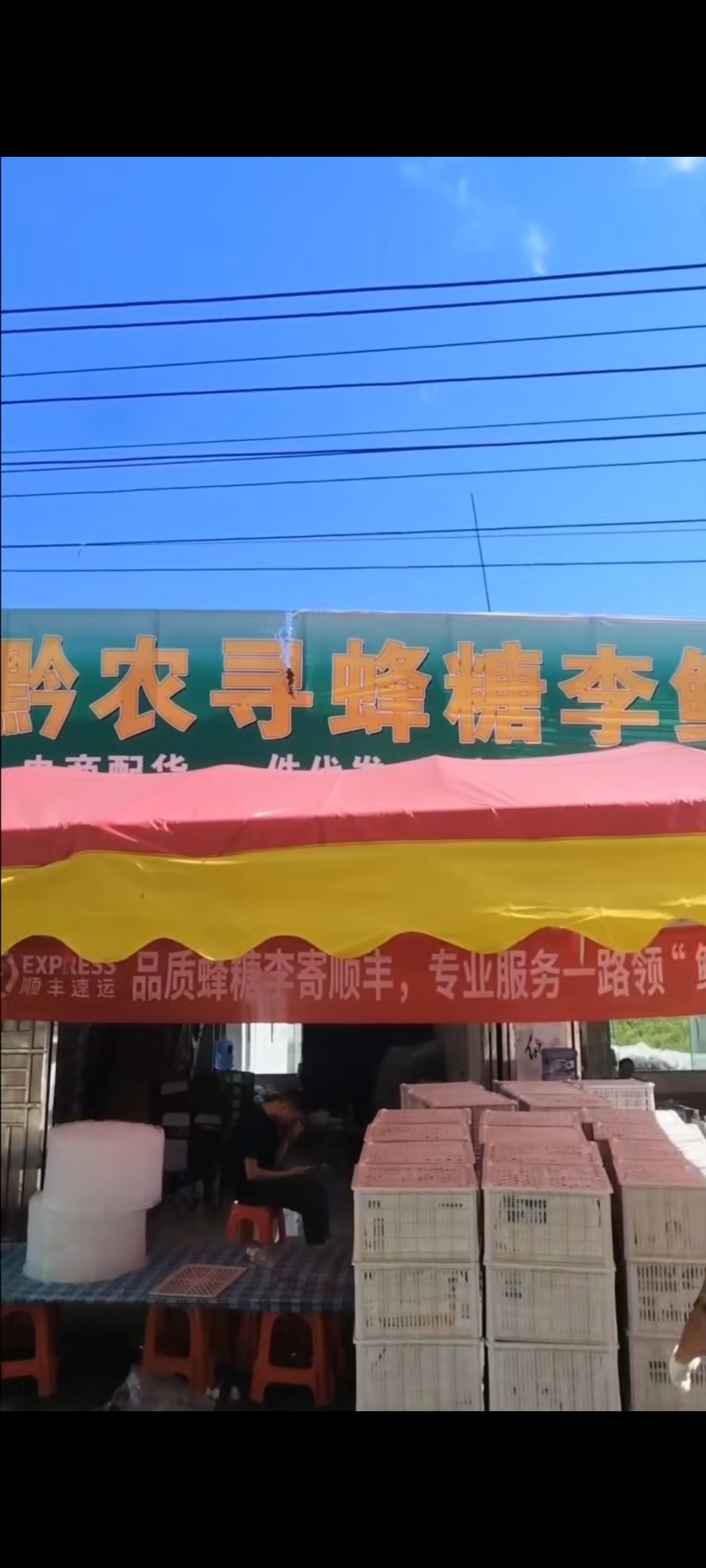 贵州省，镇宁县，六马蜂糖李《黔农寻》鲜果批发零售全国一发