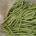 吊瓜，长豆，珍珠豆，粉豆
