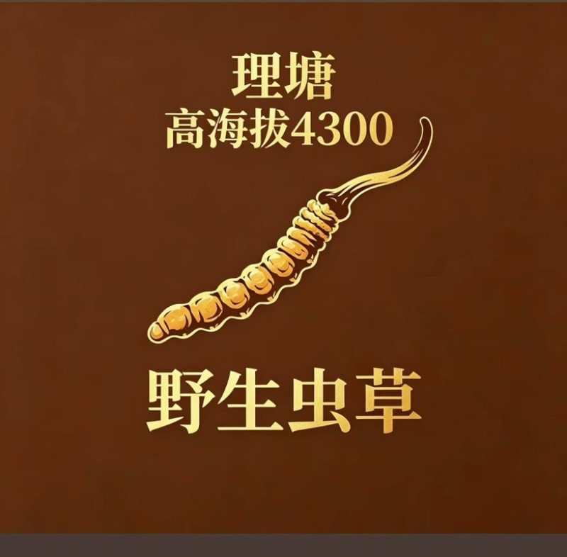 ******虫草原产地精选长期供货中
