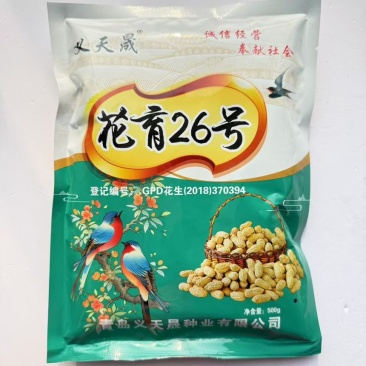 花育26号花生种子早熟油食兼用小花生种籽矮杆榨油山东高油花生