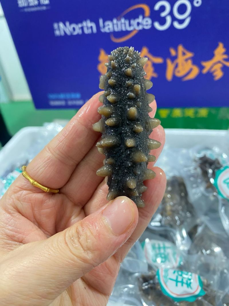 威海本地即食海参