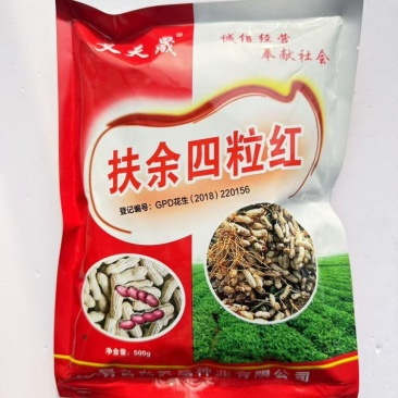 山东扶余四粒红花生种子大田用种多粒型花生种籽食用鲜食油用原装