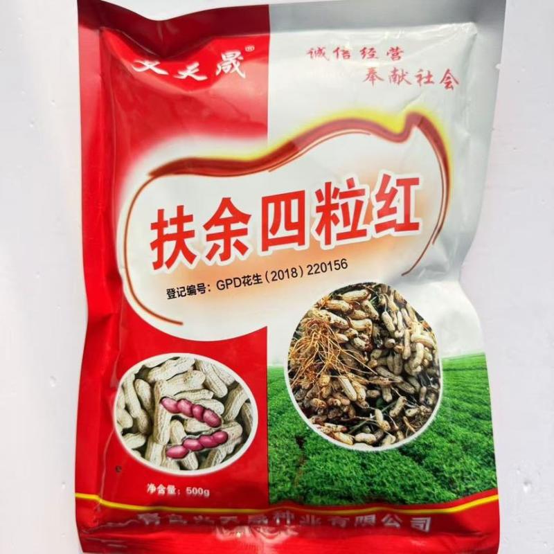山东扶余四粒红花生种子大田用种多粒型花生种籽食用鲜食油用原装