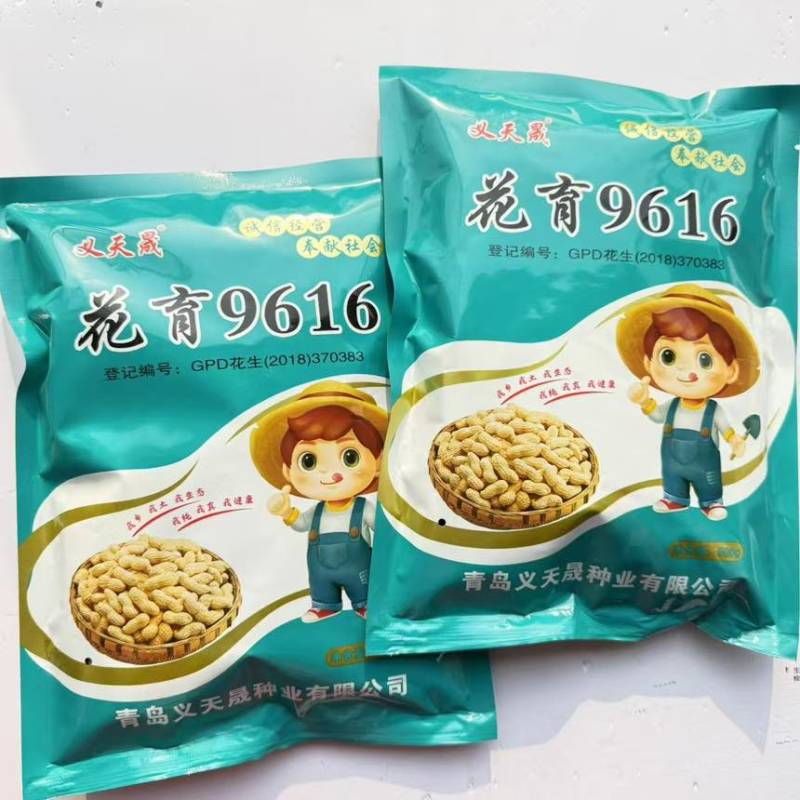 义天晟花育9616花生种子油食兼用大果花生种籽不耐旱榨油山