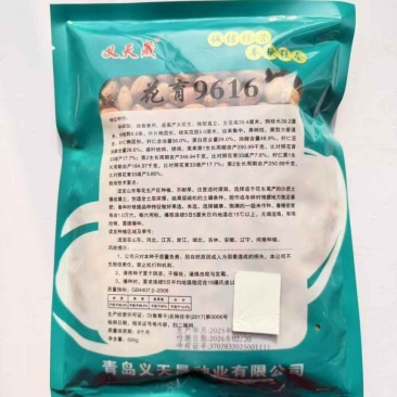 义天晟花育9616花生种子油食兼用大果花生种籽不耐旱榨油山