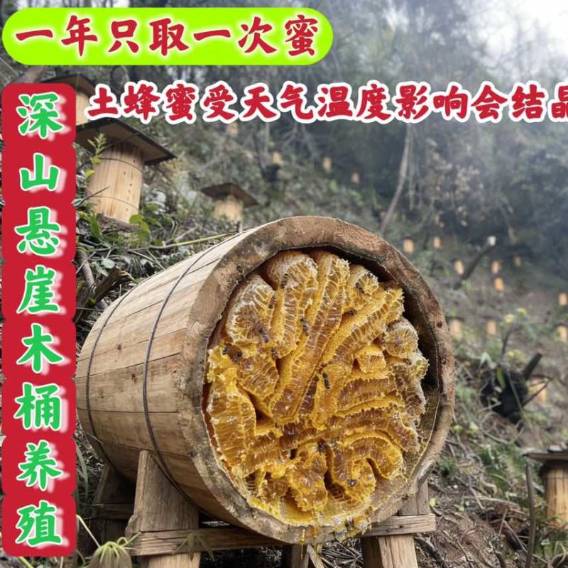 悬崖土蜂蜜